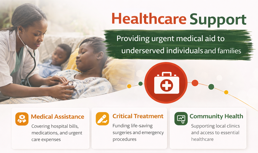 Healthcare Support Program